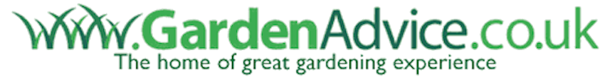 rzrben.com